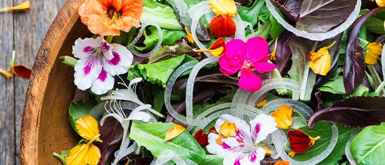 Edible Flowers for Cakes, Salads & Drinks