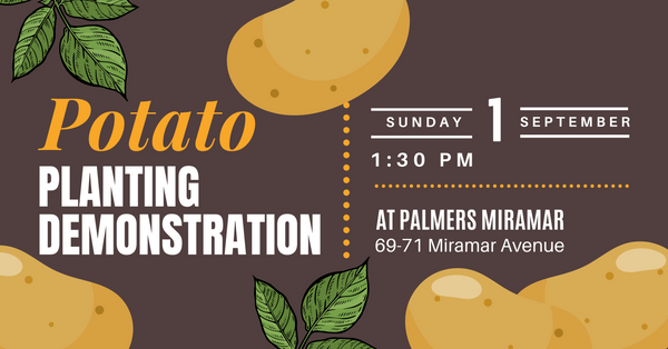 Potato Planting Demonstration at Palmers Miramar