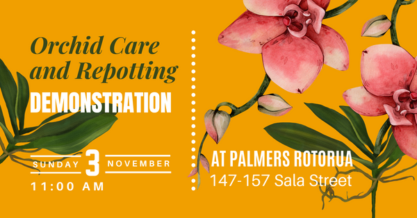 Orchid Care  and Repotting Demonstration - BY Selwyn Hatrick (Palmers Rotorua)