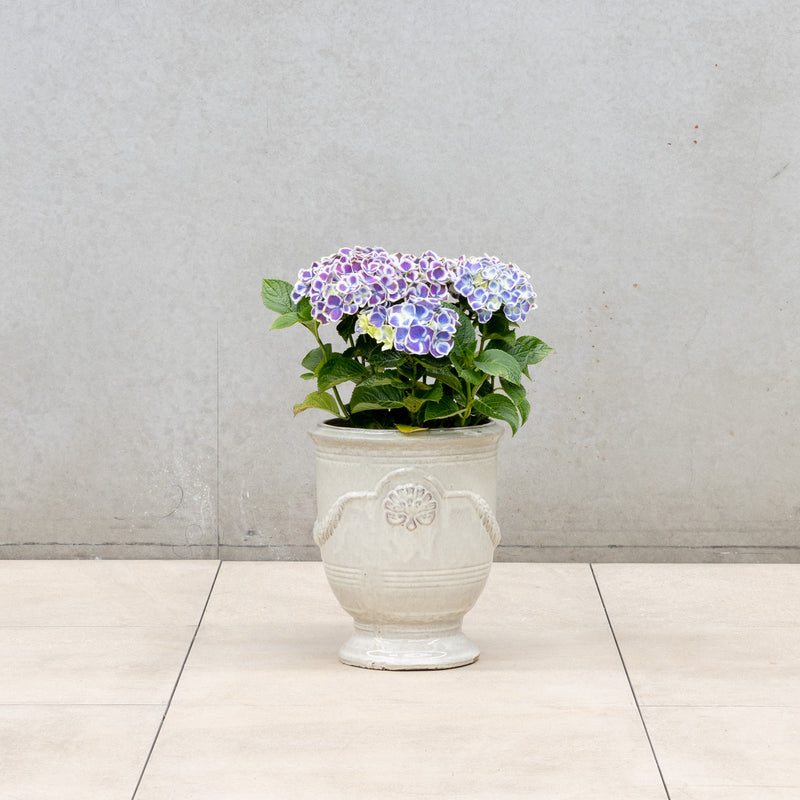 Provincial URN Pot - Cream M