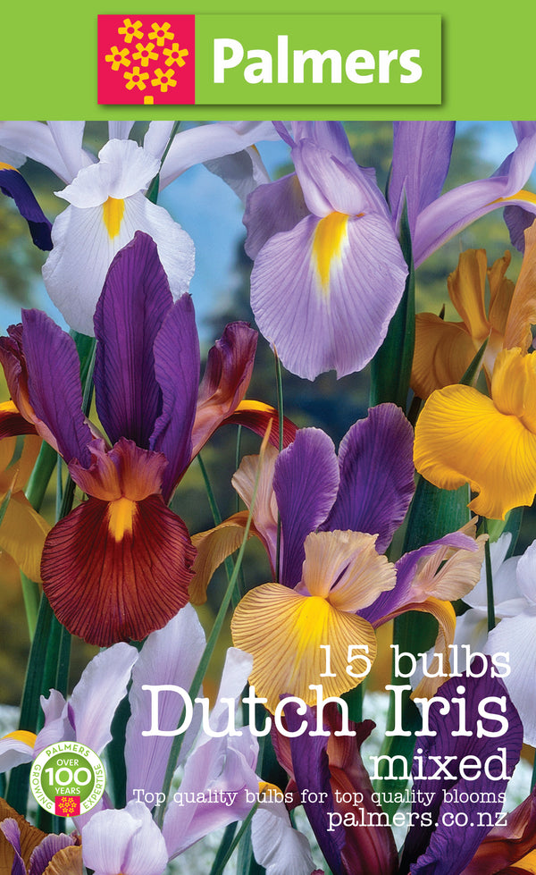 Palmers Dutch Iris Bulbs - 15PK