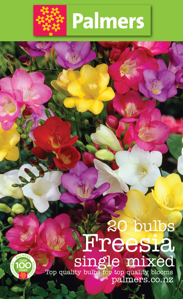 Palmers Freesia Fiesta Bulbs - 20PK