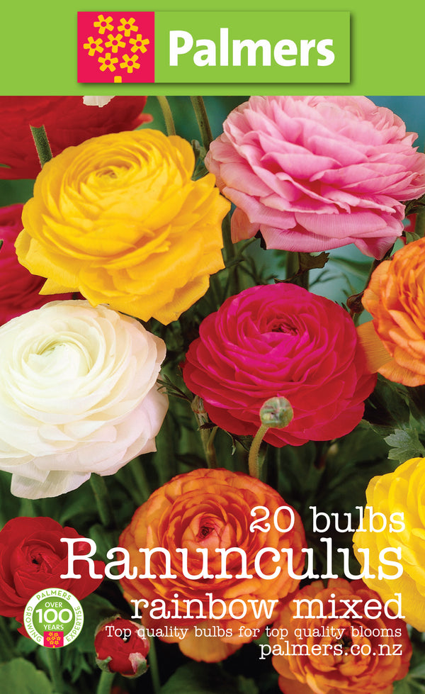 Palmers Rainbow Mixed Ranunculus Bulbs - PK20