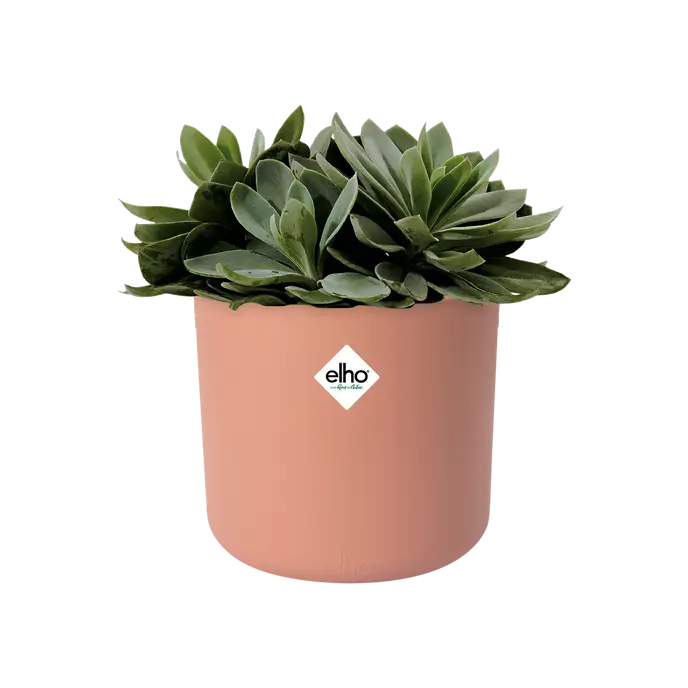 B For Soft Round Pot Pink 16CM