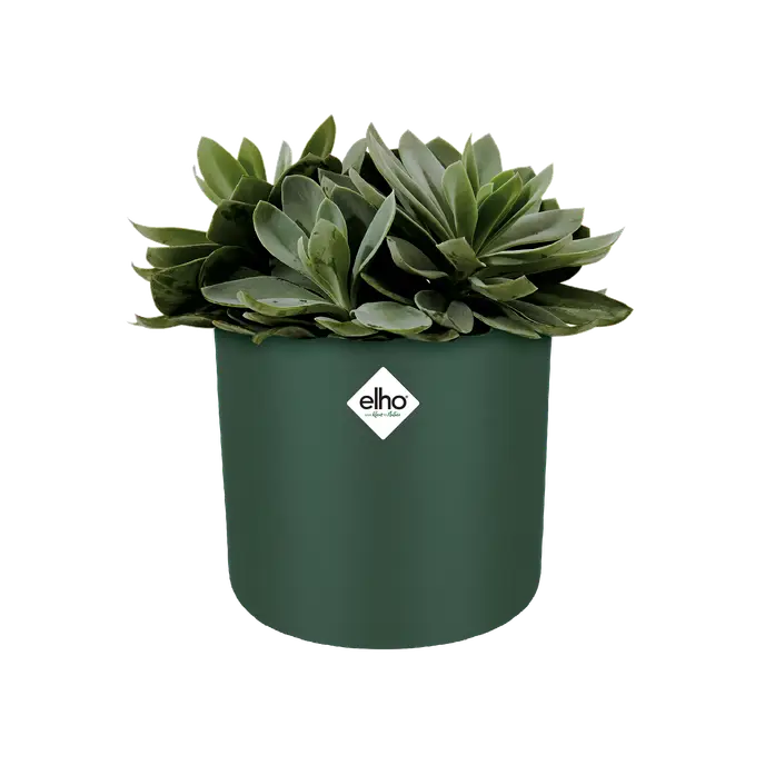 B For Soft Round Pot Leaf Green 16CM