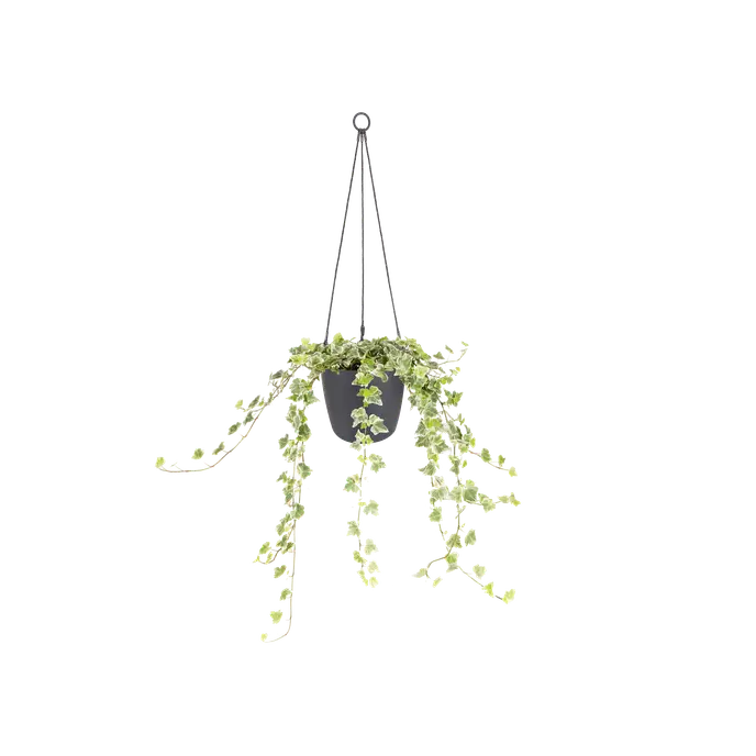 Brussels Hanging Basket Cord Anthracite 18CM