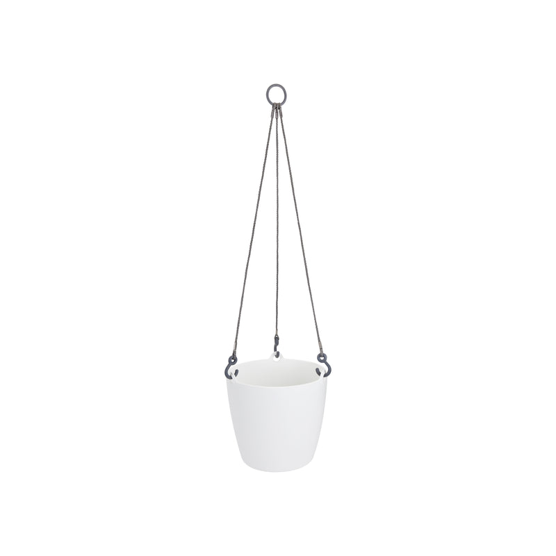 Brussels Hanging Basket White 18CM