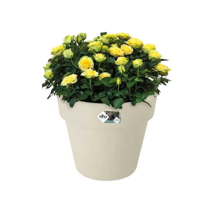 Green Basics Top Planter White 23CM