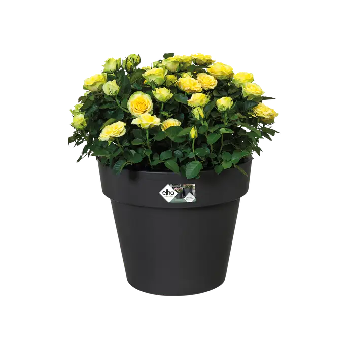 Green Basics Top Planter Black 30CM