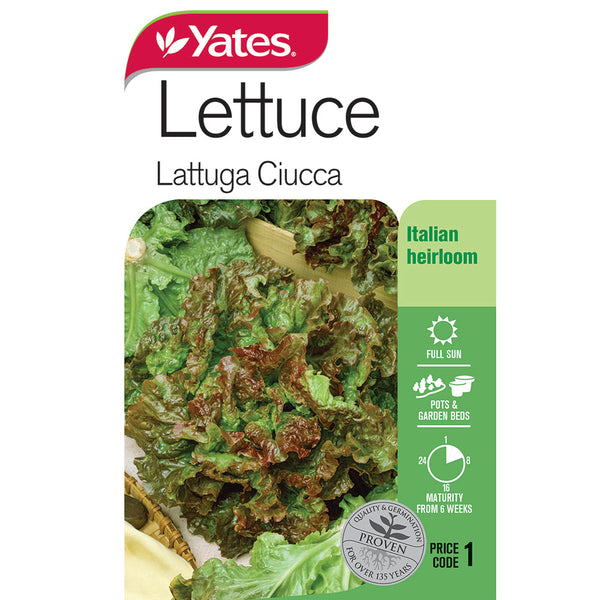 Yares Vegetable Seed Lettuce Lattuga Ciucca