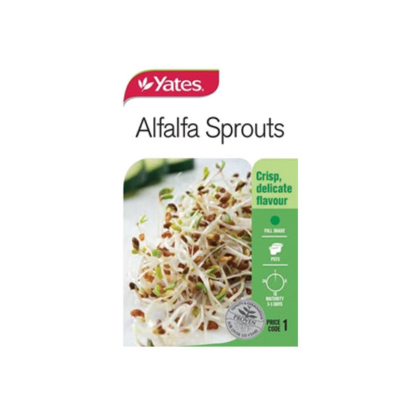 Alfalfa Sprout