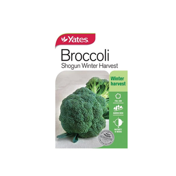 Broccoli Shogun