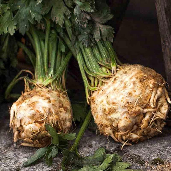 Celeriac Vegetable Punnet