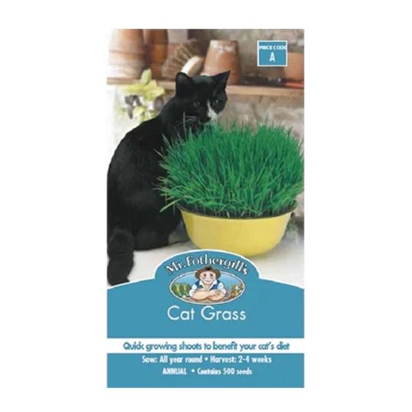 Cat Grass Seed