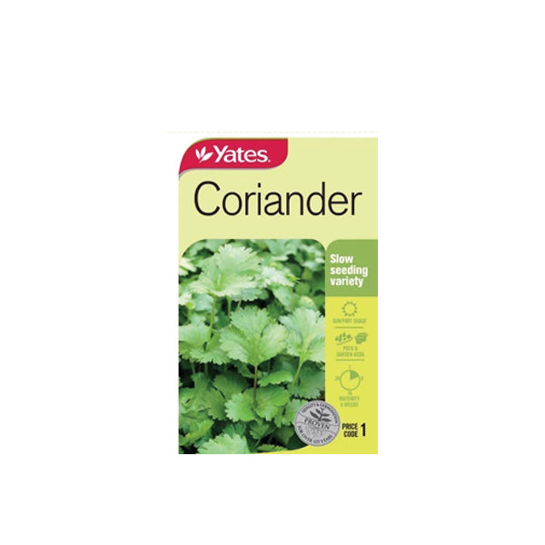 Coriander