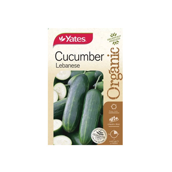 Cucumber Lebanese Organic