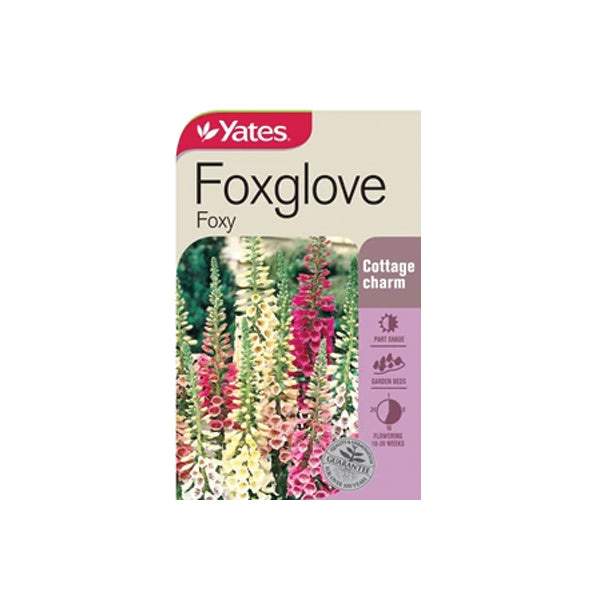 Foxglove Foxy