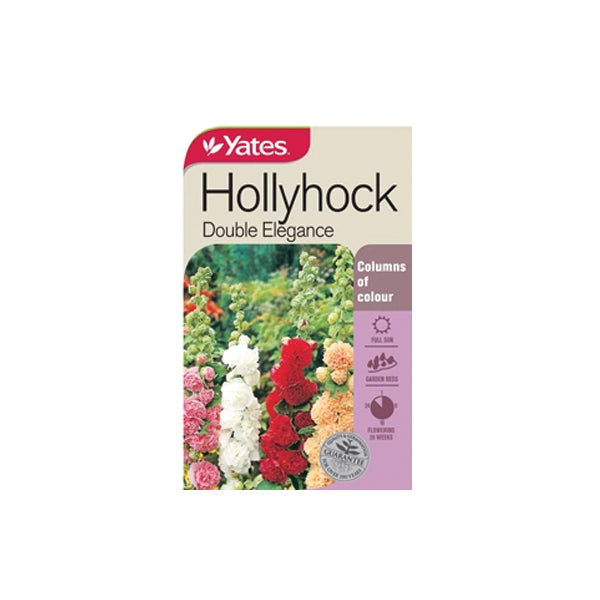 Hollyhock Double Elegance