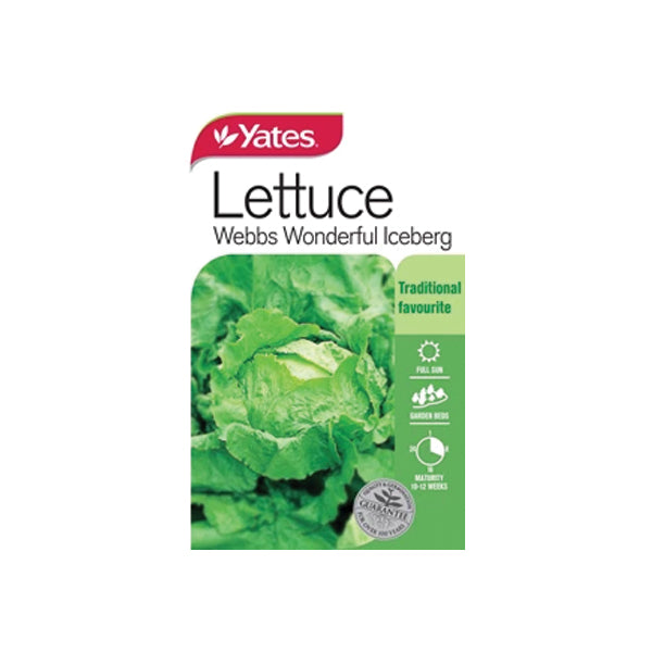 Lettuce Webbs Wonderful Iceberg