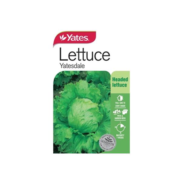 Lettuce Yatesdale