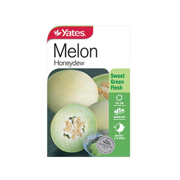 Honeydew Melon