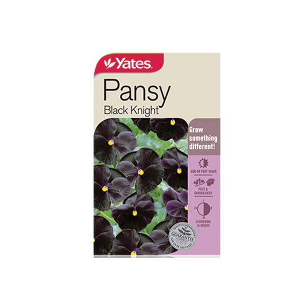 Pansy Black Knight