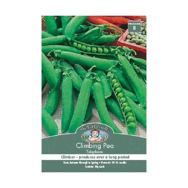 Climbing Pea Telephone Seed