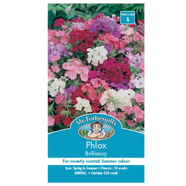 Phlox Brilliancy Seed