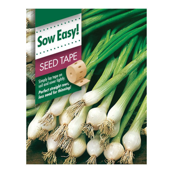 Spring Onion All Year Round Seed Tape