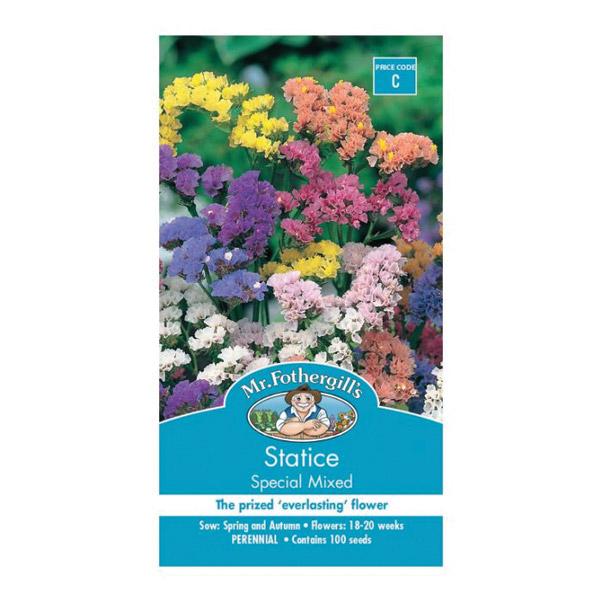 Statice Special Mixed Seed