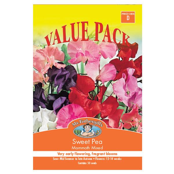 Sweet Pea Mammoth Value Pack Seed