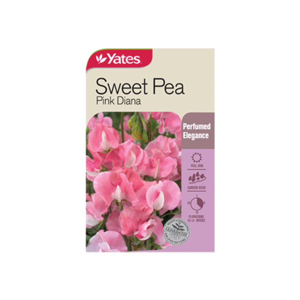 Sweet Pea Pink Diana