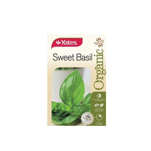 Basil Sweet Organic