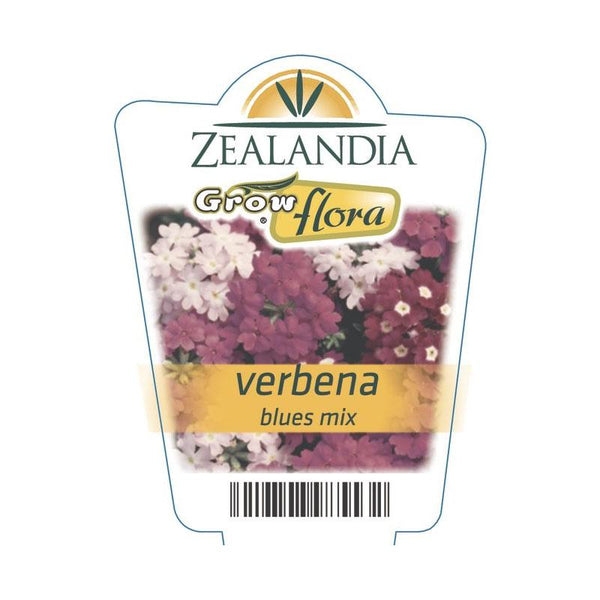 Verbena Blues Mix Flower Punnet